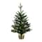 2ft. Pre-Lit Artificial Classic Christmas Tree with 35 Warm White LED Lights in Gold Decorative Planter